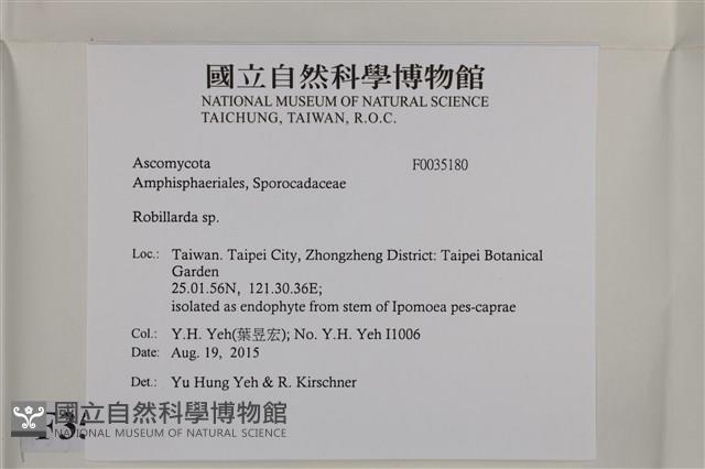 登錄號:F0035180藏品圖，第2張