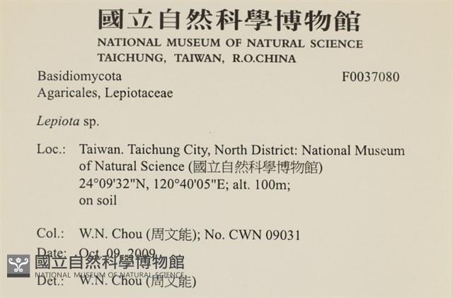 登錄號:F0037080藏品圖，第2張