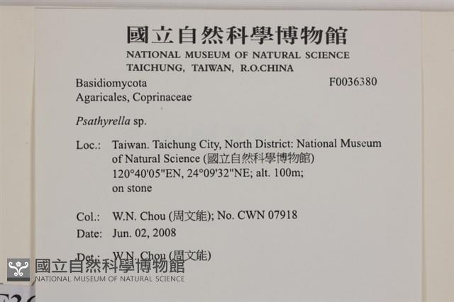登錄號:F0036380藏品圖，第2張