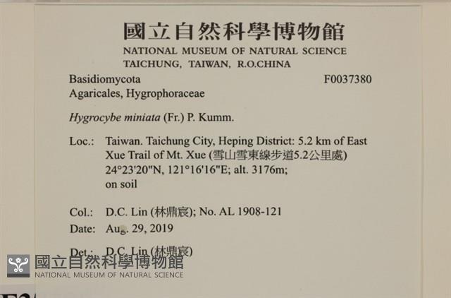 登錄號:F0037380藏品圖，第2張