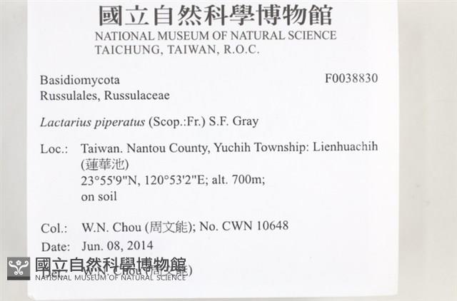 登錄號:F0038830藏品圖，第2張