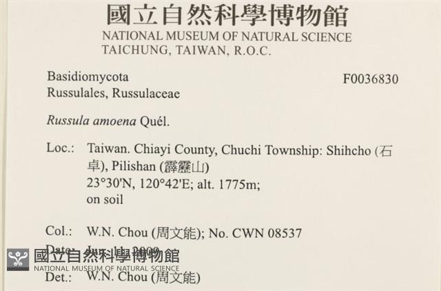 登錄號:F0036830藏品圖，第2張