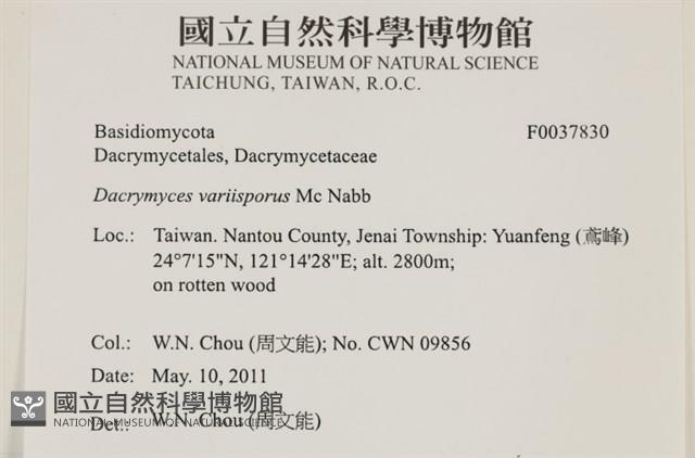 登錄號:F0037830藏品圖，第2張