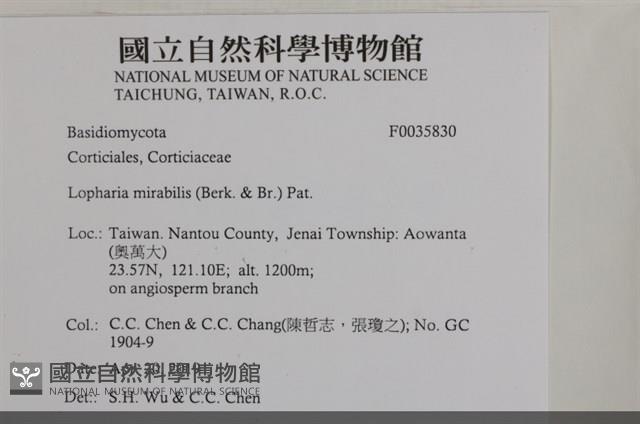 登錄號:F0035830藏品圖，第2張