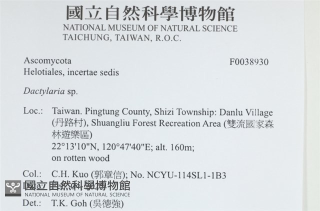 登錄號:F0038930藏品圖，第2張