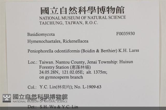 登錄號:F0035930藏品圖，第2張