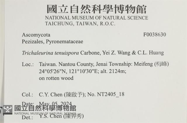 登錄號:F0038630藏品圖，第2張