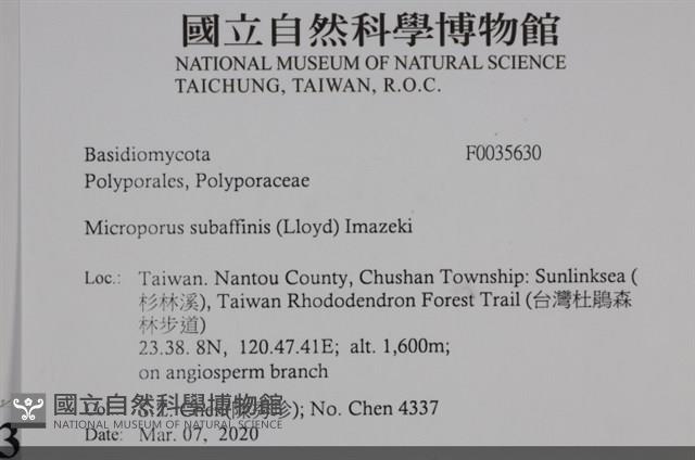 登錄號:F0035630藏品圖，第2張