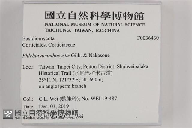 登錄號:F0036430藏品圖，第2張