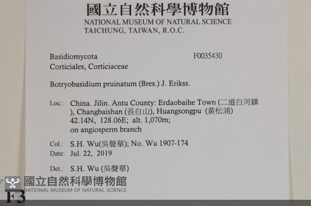 登錄號:F0035430藏品圖，第2張