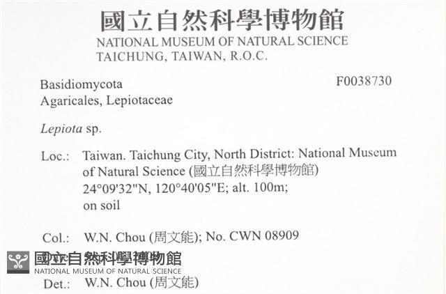 登錄號:F0038730藏品圖，第2張