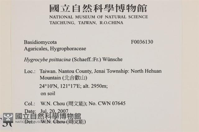 登錄號:F0036130藏品圖，第2張