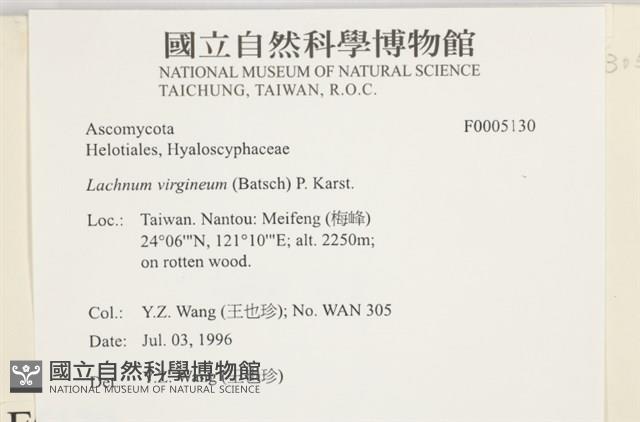 登錄號:F0005130藏品圖，第3張