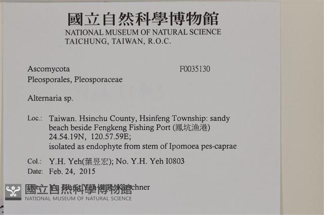 登錄號:F0035130藏品圖，第2張