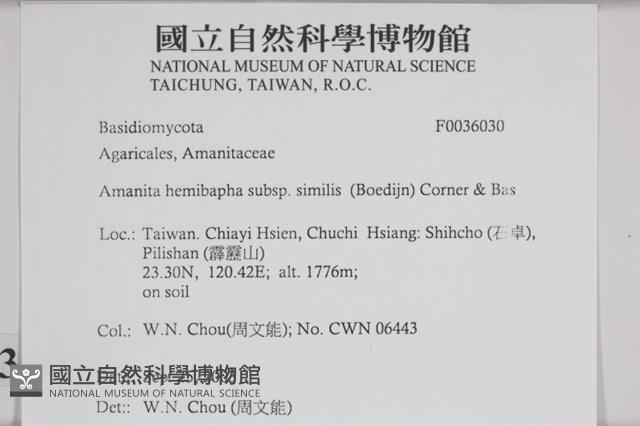 登錄號:F0036030藏品圖，第2張