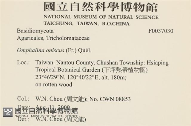 登錄號:F0037030藏品圖，第2張