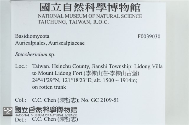 登錄號:F0039030藏品圖，第2張