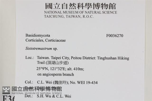 登錄號:F0036270藏品圖，第2張