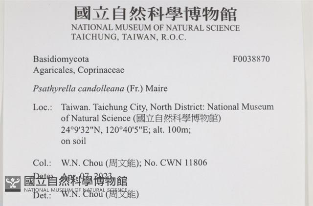 登錄號:F0038870藏品圖，第2張