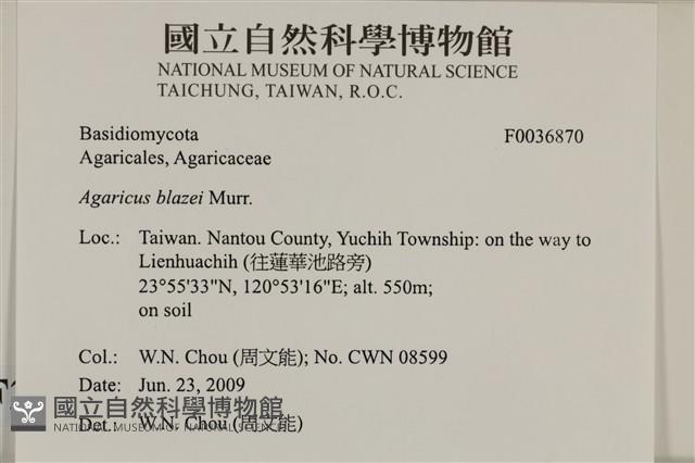 登錄號:F0036870藏品圖，第2張