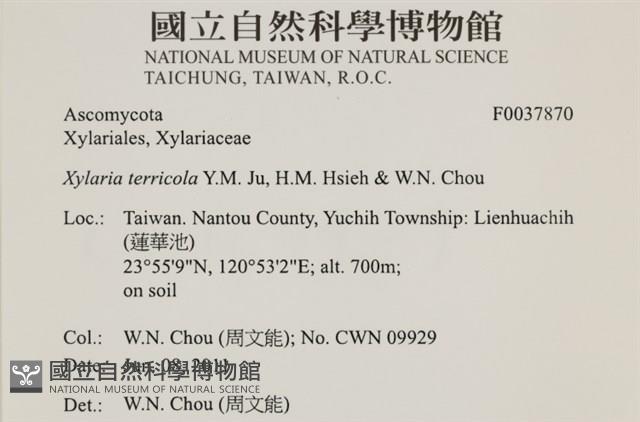 登錄號:F0037870藏品圖，第2張
