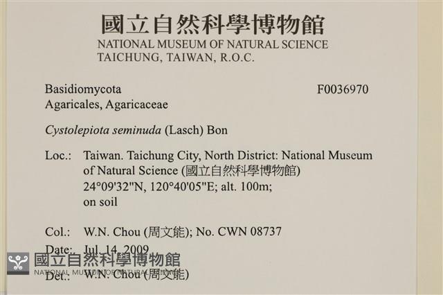 登錄號:F0036970藏品圖，第2張
