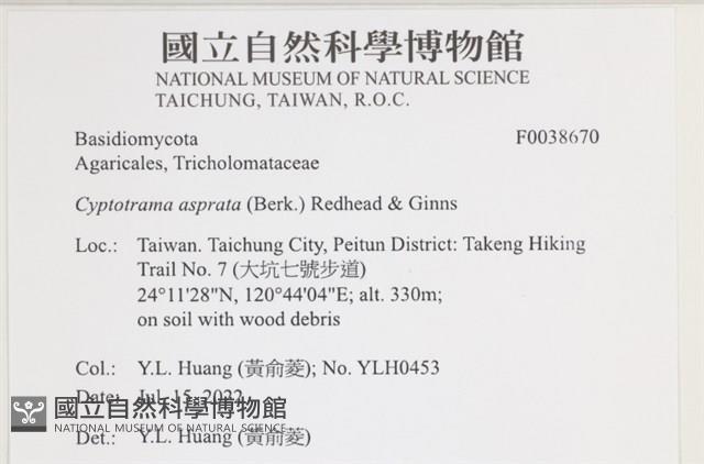 登錄號:F0038670藏品圖，第2張