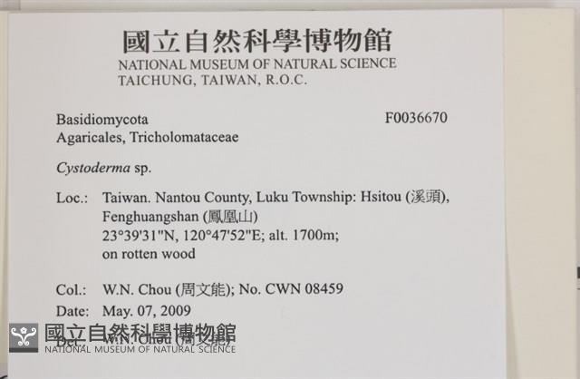 登錄號:F0036670藏品圖，第2張