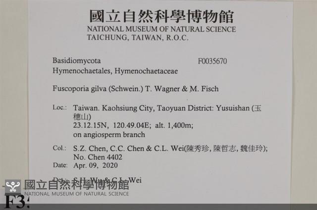 登錄號:F0035670藏品圖，第2張