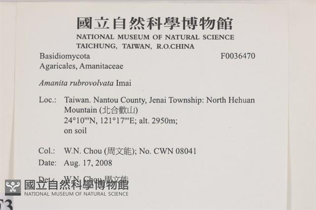 Accession Number:F0036470 Collection Image, Figure 2, Total 2 Figures