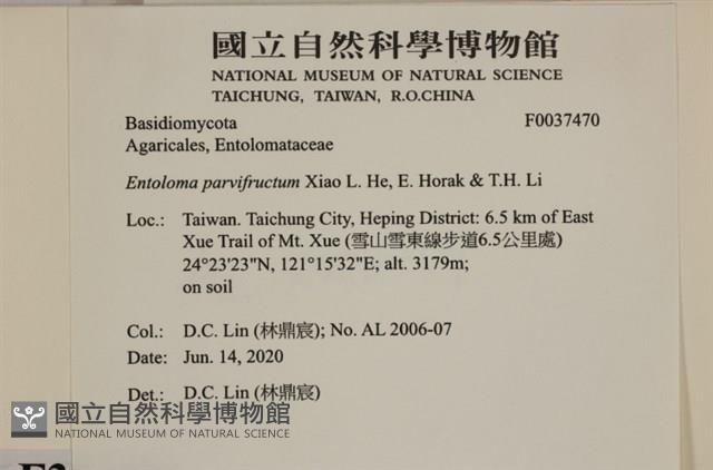 登錄號:F0037470藏品圖，第2張