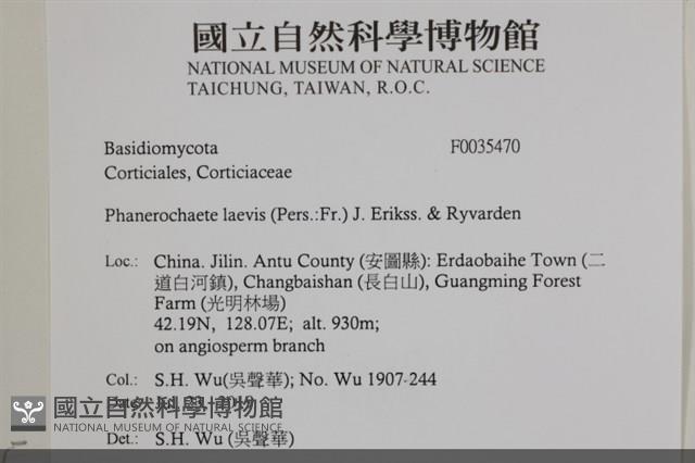 登錄號:F0035470藏品圖，第2張
