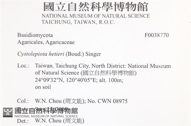 登錄號:F0038770藏品圖，第2張