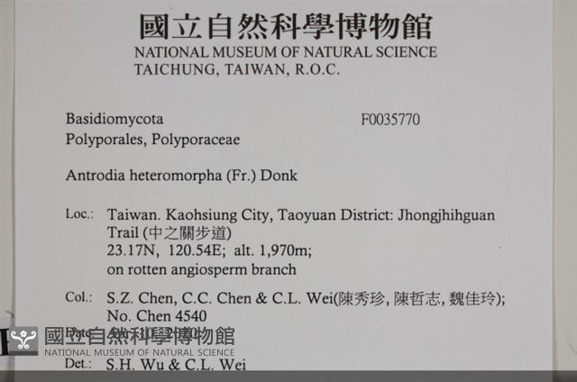 登錄號:F0035770藏品圖，第2張