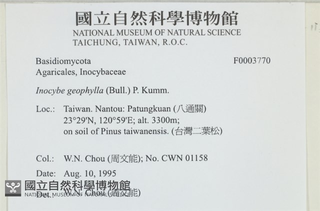 登錄號:F0003770藏品圖，第4張