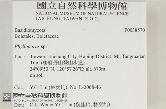 登錄號:F0038570藏品圖，第2張