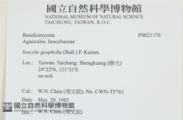 登錄號:F0032570藏品圖，第3張