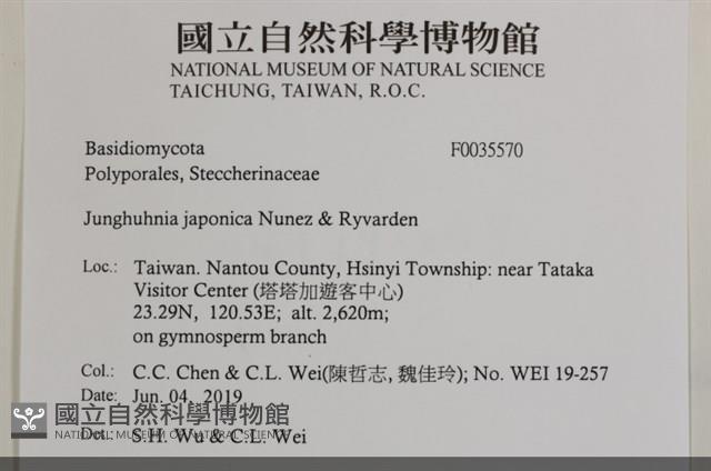 登錄號:F0035570藏品圖，第2張