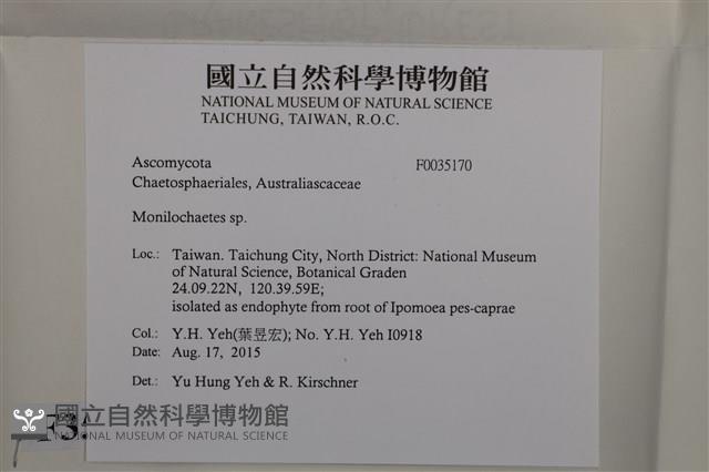 登錄號:F0035170藏品圖，第2張