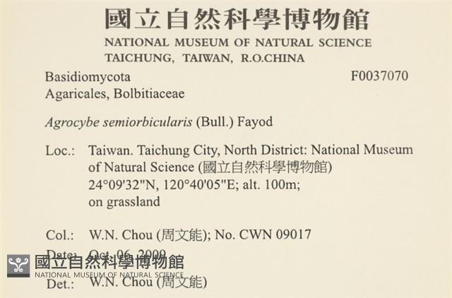 登錄號:F0037070藏品圖，第2張