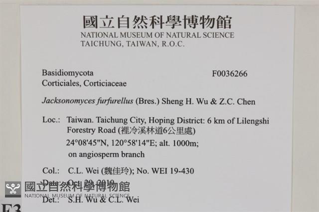 登錄號:F0036266藏品圖，第2張