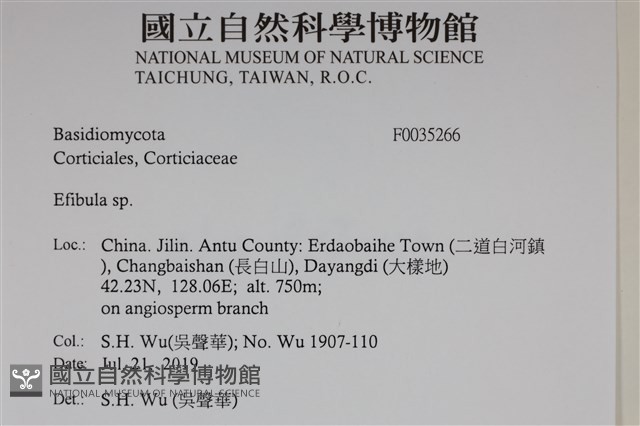 登錄號:F0035266藏品圖，第2張