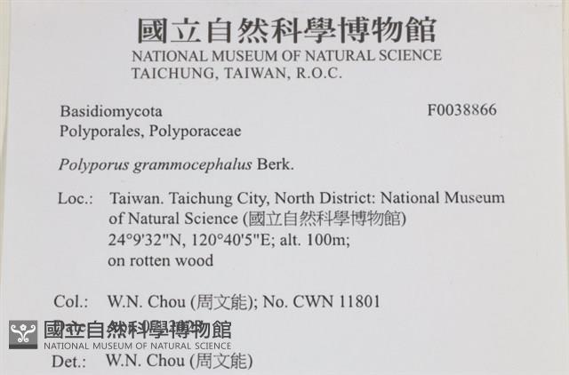 登錄號:F0038866藏品圖，第2張