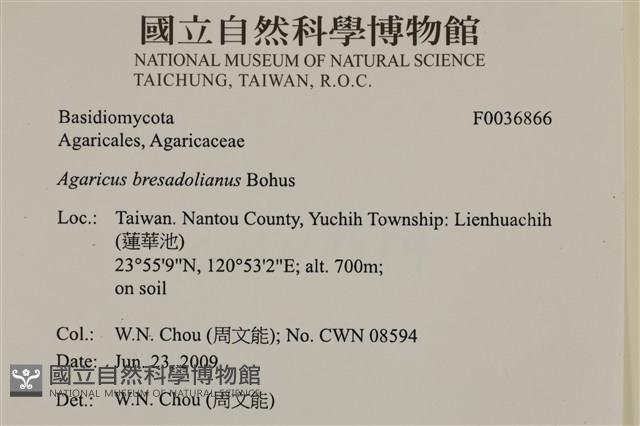 登錄號:F0036866藏品圖，第2張
