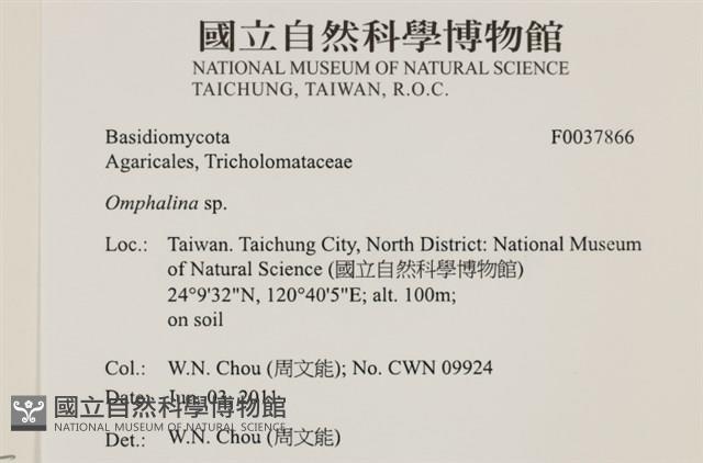 登錄號:F0037866藏品圖，第2張