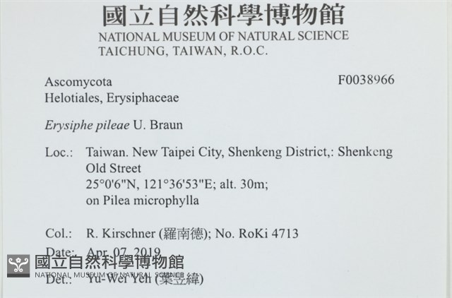 登錄號:F0038966藏品圖，第2張