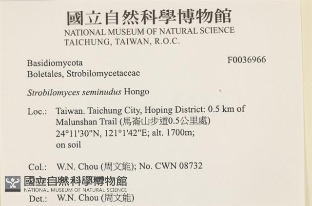 登錄號:F0036966藏品圖，第2張
