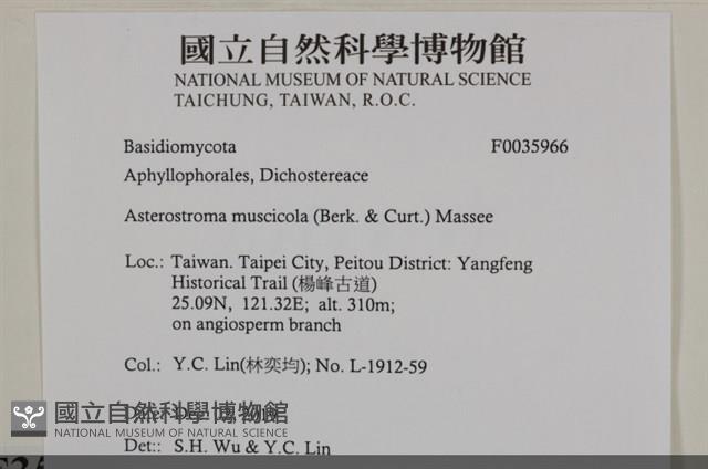 登錄號:F0035966藏品圖，第2張