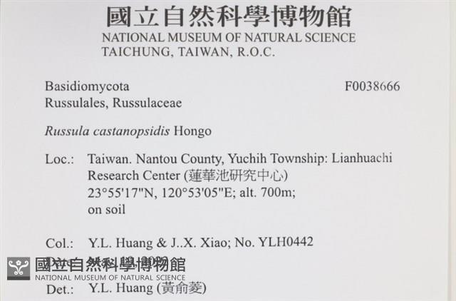 登錄號:F0038666藏品圖，第2張