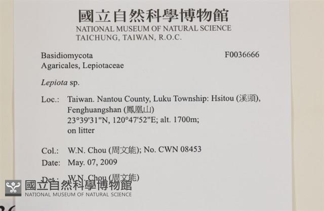 登錄號:F0036666藏品圖，第2張